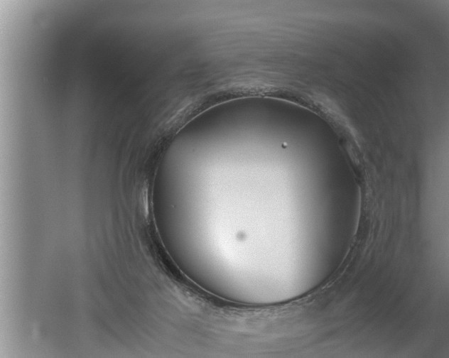 X0000060550021200511101549