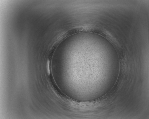 X0000060550022200511101549