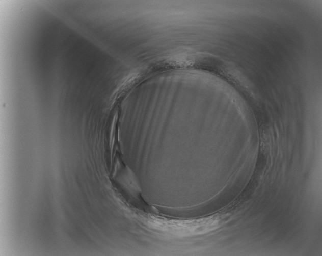 X0000060550023200511101549