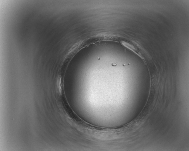 X0000060550024200511101549