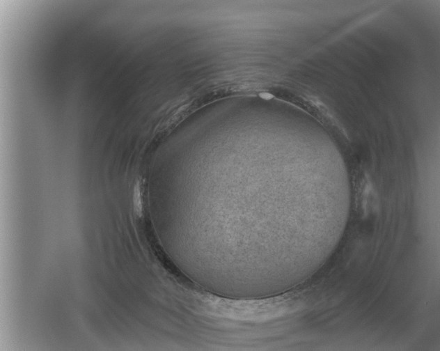 X0000060550026200511101549