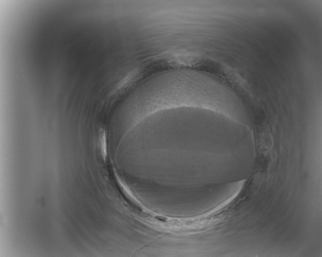 X0000060550027200511101549