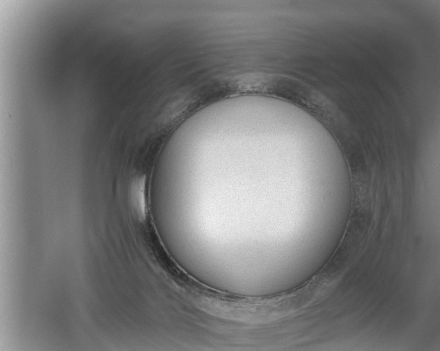 X0000060550028200511101549