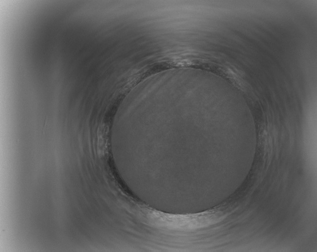 X0000060550030200511101549