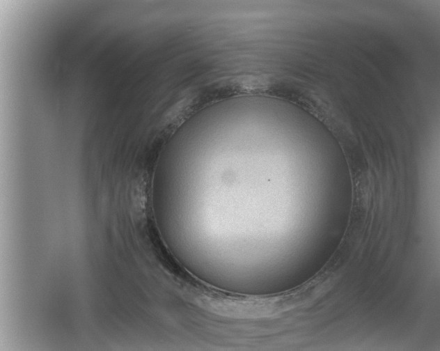 X0000060550032200511101549