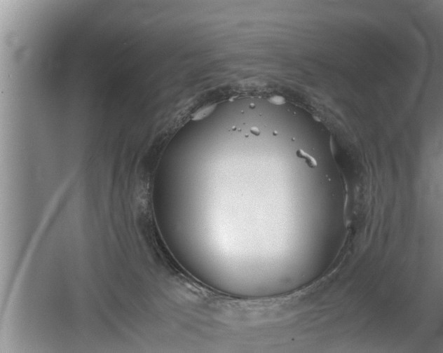 X0000060550033200511101549