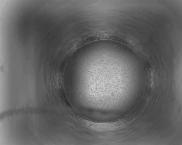 X0000060550034200511101549