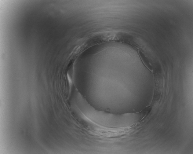 X0000060550035200511101549