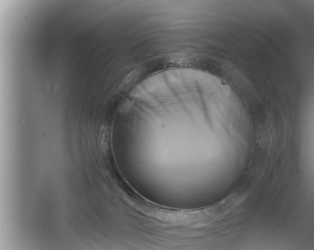 X0000060550036200511101549