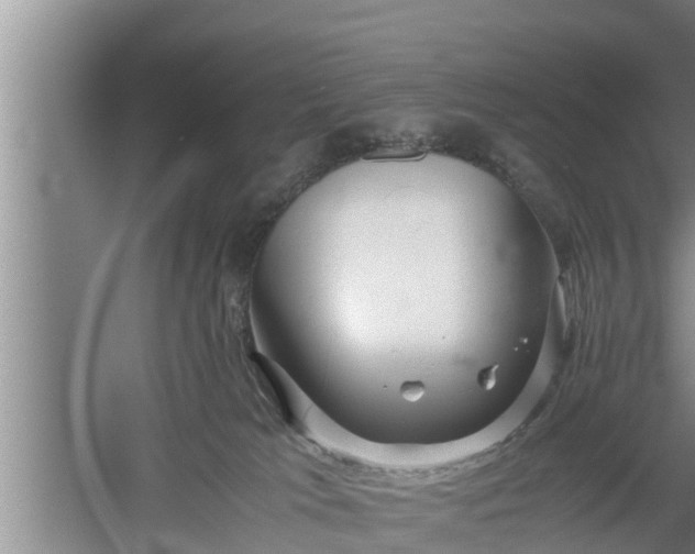 X0000060550037200511101549