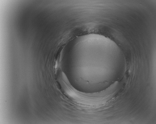 X0000060550039200511101549