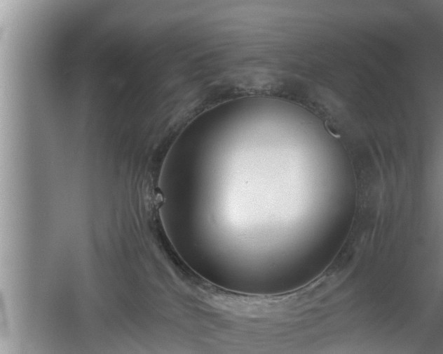 X0000060550040200511101549