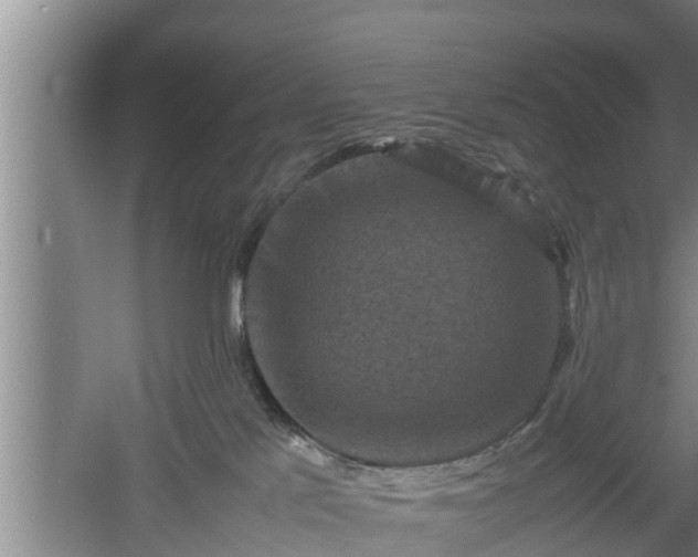 X0000060550041200511101549