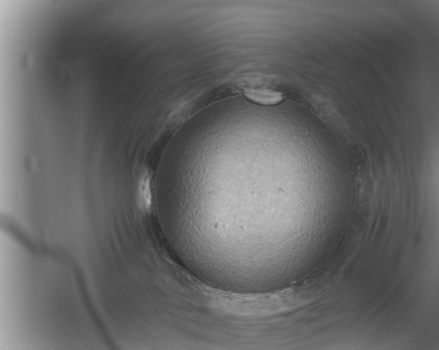 X0000060550042200511101549