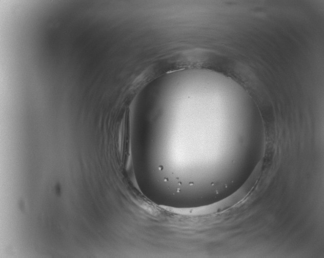 X0000060550045200511101549