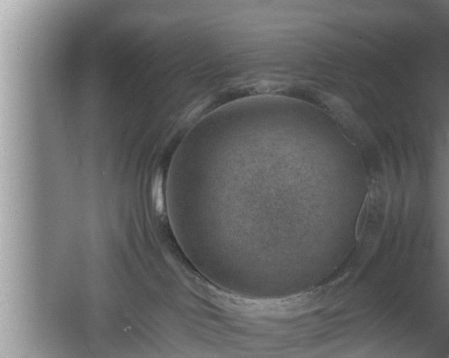 X0000060550046200511101549