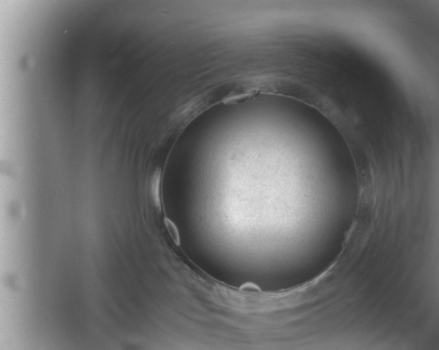 X0000060550047200511101549