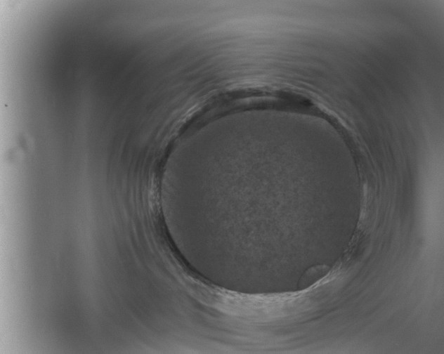 X0000060550048200511101549