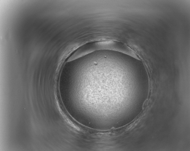 X0000060550049200511101548