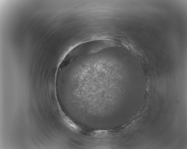 X0000060550052200511101548