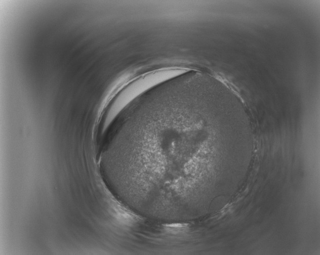 X0000060550053200511101548