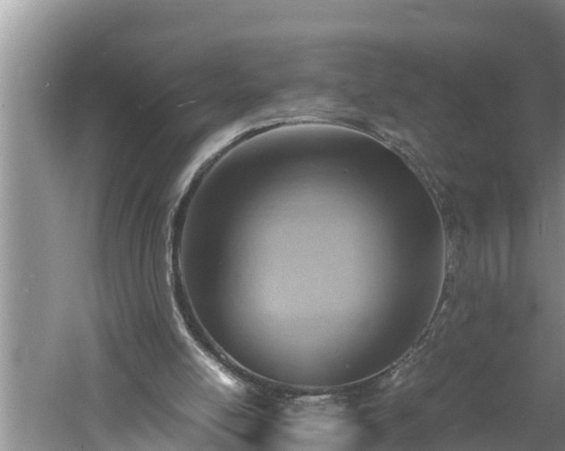 X0000060550054200511101548