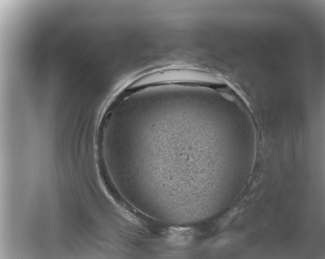 X0000060550055200511101548