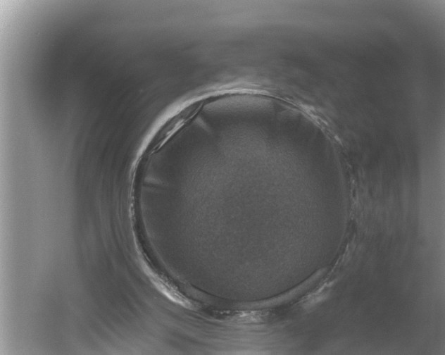 X0000060550056200511101548