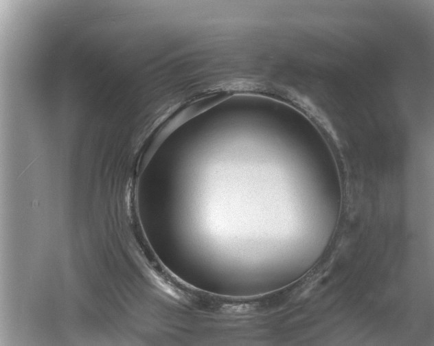 X0000060550057200511101548