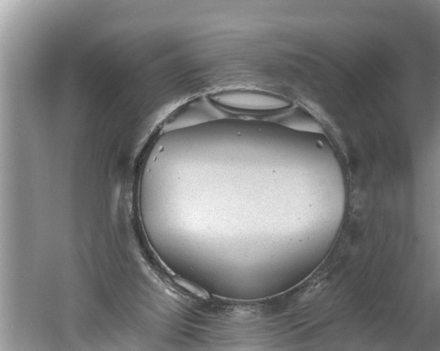 X0000060550060200511101548