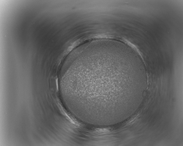 X0000060550061200511101548