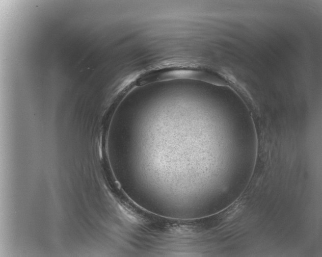 X0000060550062200511101548