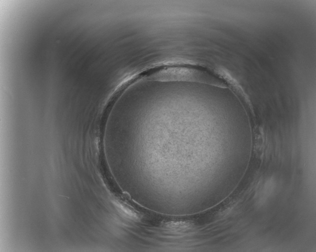 X0000060550063200511101548