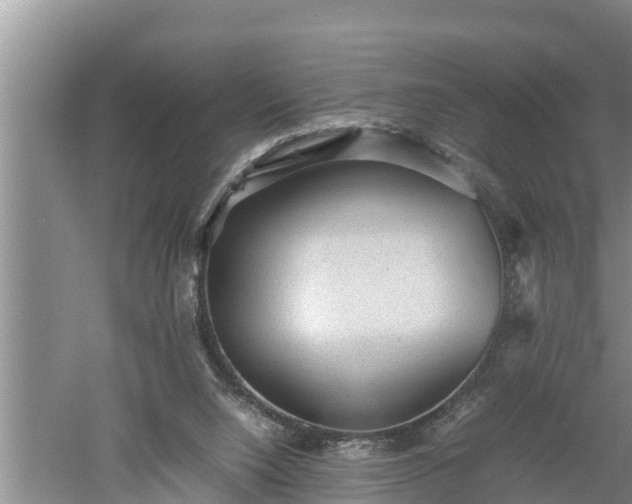 X0000060550064200511101548