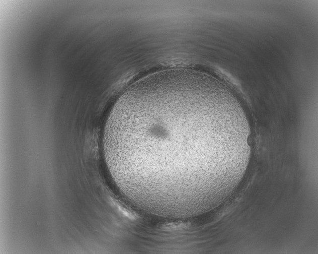 X0000060550065200511101548