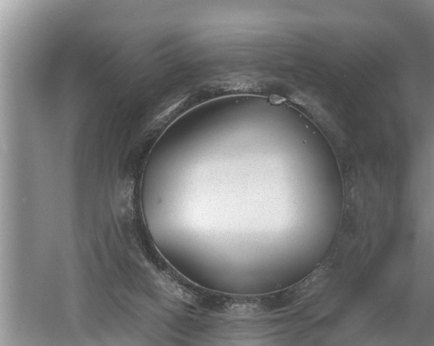 X0000060550066200511101548