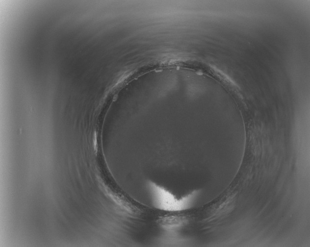 X0000060550067200511101548