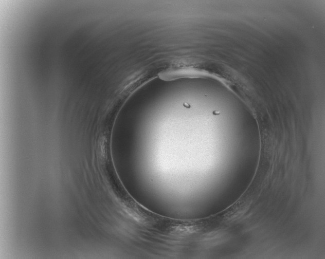 X0000060550071200511101548