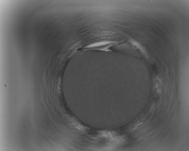 X0000060550073200511101548