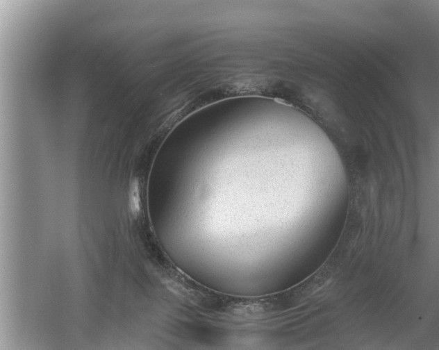 X0000060550075200511101548