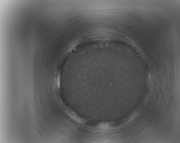 X0000060550076200511101548