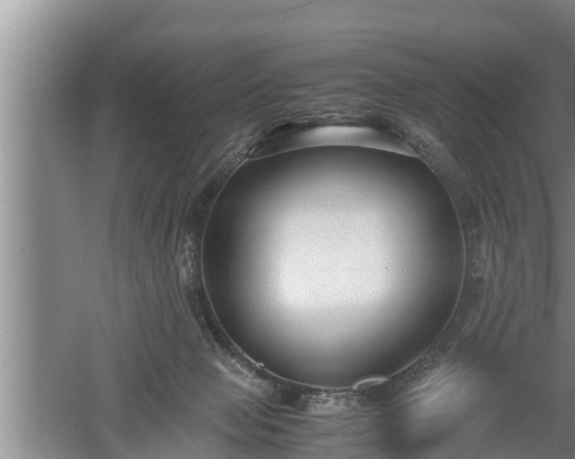 X0000060550077200511101548