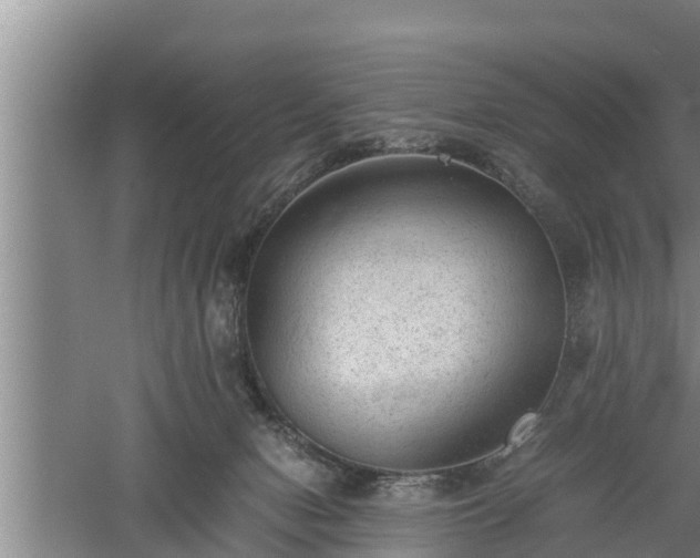 X0000060550078200511101548