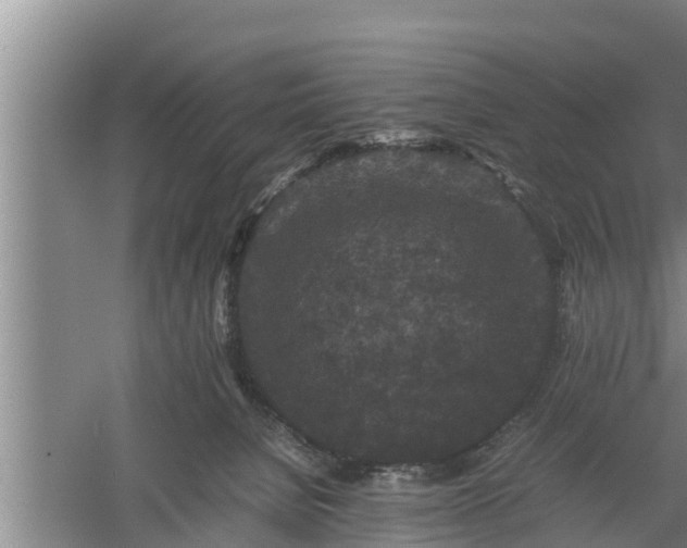 X0000060550080200511101548