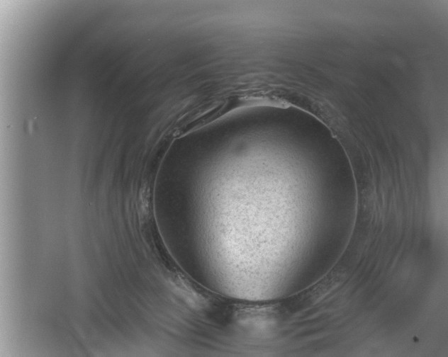 X0000060550081200511101548