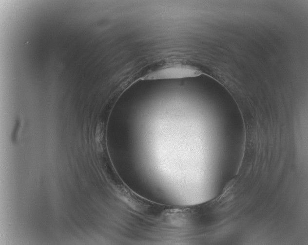 X0000060550082200511101548