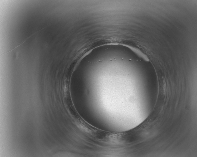 X0000060550084200511101548