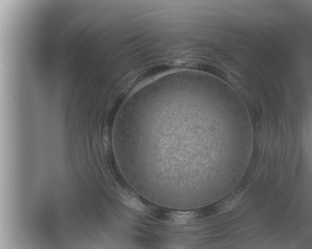 X0000060550085200511101548