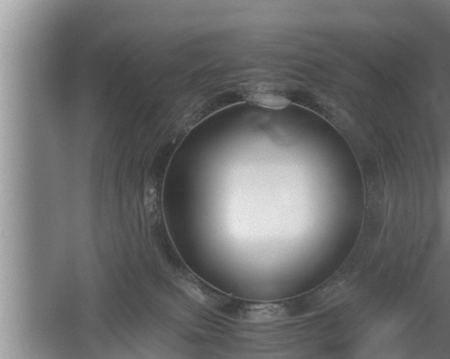 X0000060550087200511101548