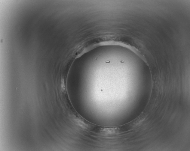 X0000060550089200511101548